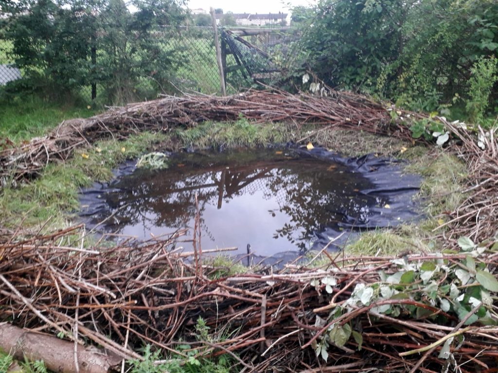 Pond under construction